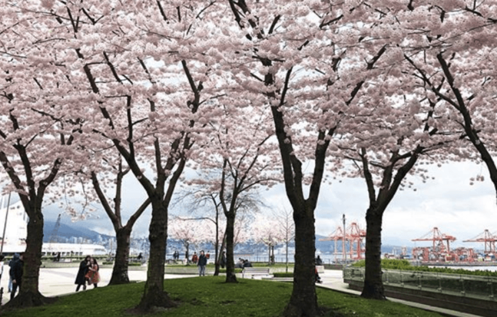 20240325_0_0ekvn 20240325_0_0ekvn