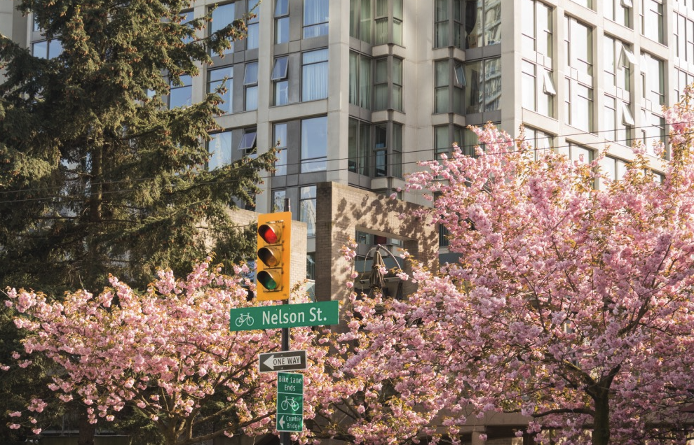 20240325_0_bea43 20240325_0_bea43