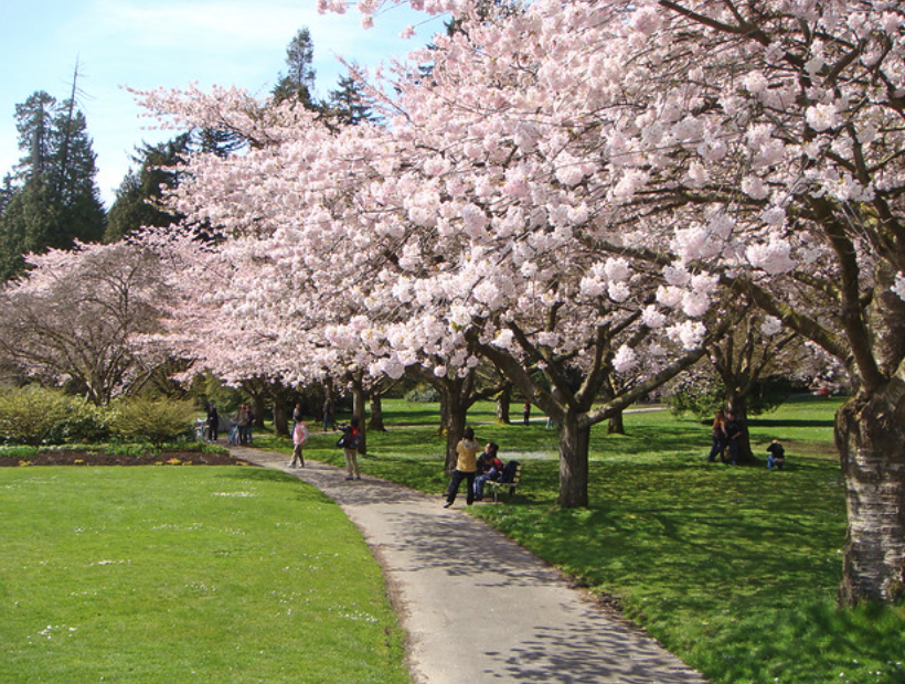 20240325_0_dcwat 20240325_0_dcwat