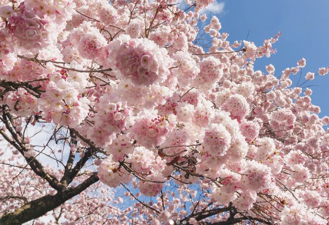 20240325_0_k33tp 20240325_0_k33tp