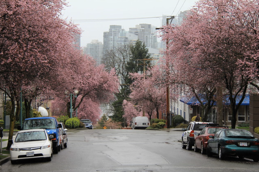 20240325_0_kgs98 20240325_0_kgs98