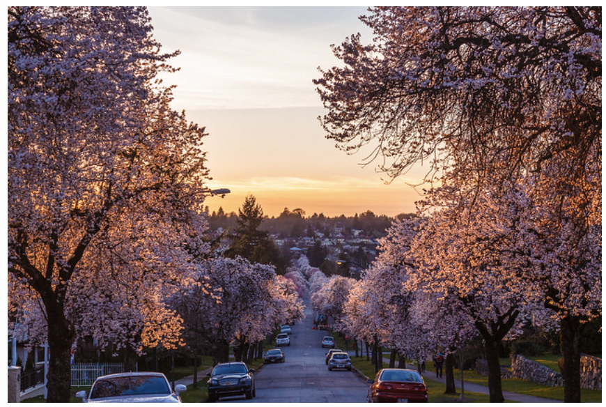 20240325_0_qsvxb 20240325_0_qsvxb