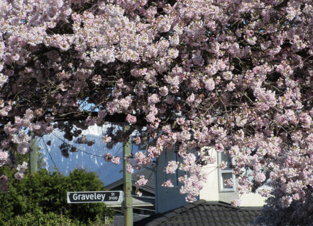 20240325_0_xoud1 20240325_0_xoud1