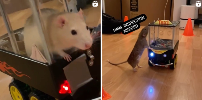 20240426_640_1uv8a 20240426_640_1uv8a