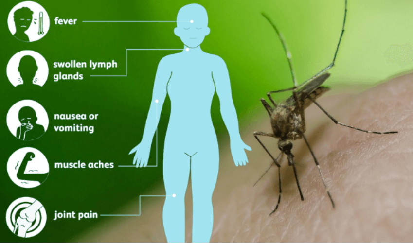 20240828_640_ku5nh 20240828_640_ku5nh