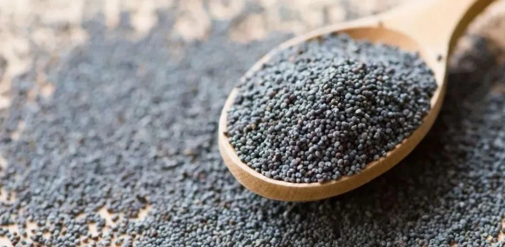 640-20240916-204614-66e89916a2b67