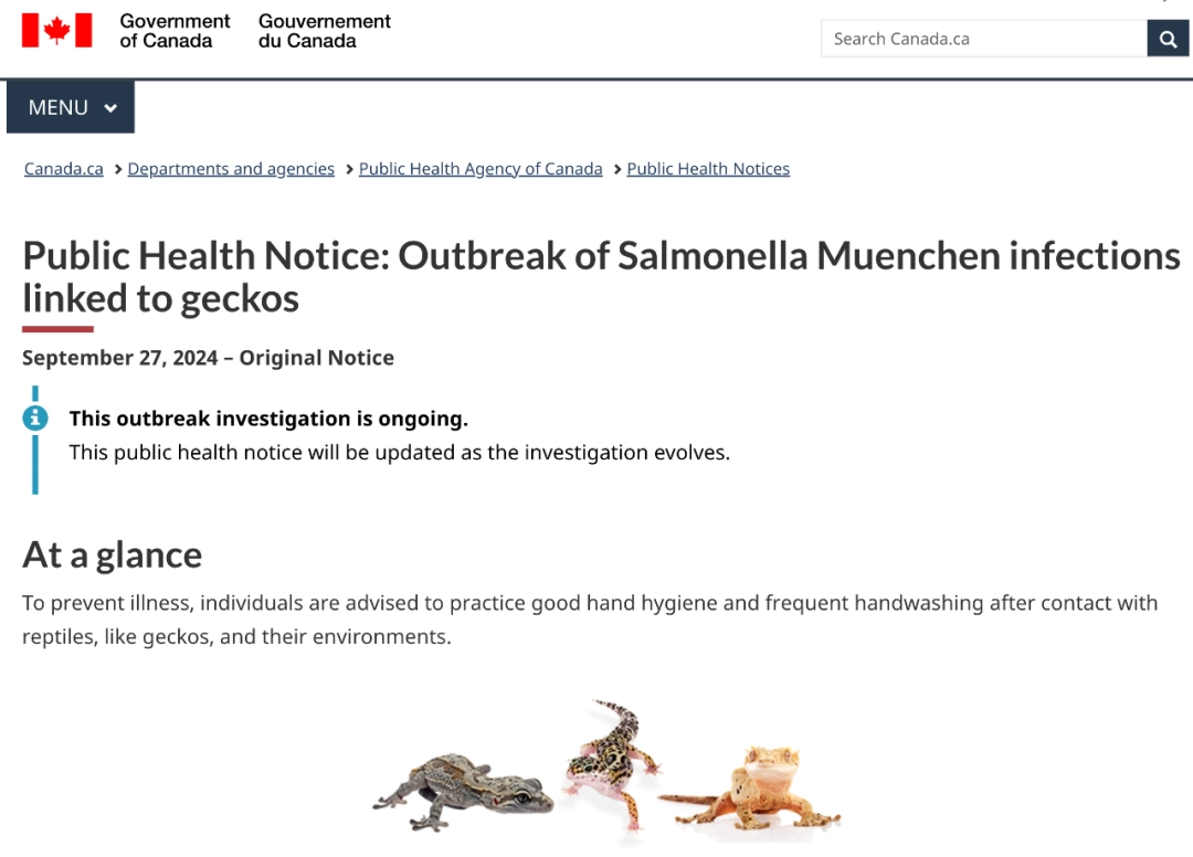 640-20241002-163857-66fd7721cc77d