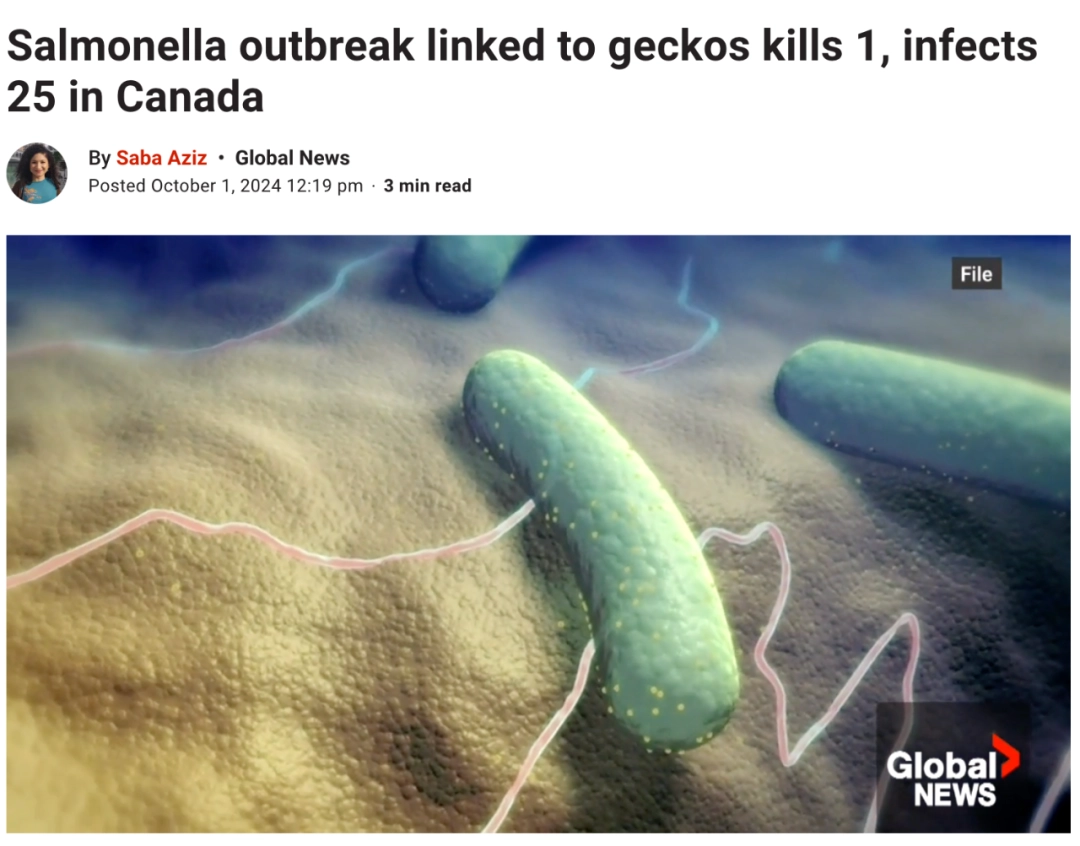 640-20241002-163857-66fd7721d2466