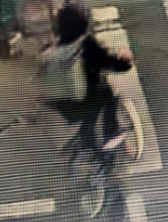 get-20241212-165854-675b86ce7ec0d