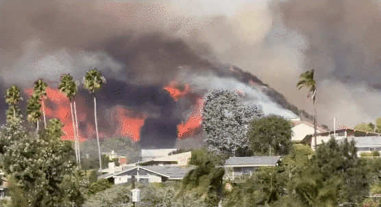 640-20250108-131624-677eeb28839ff 640-20250108-131624-677eeb28839ff