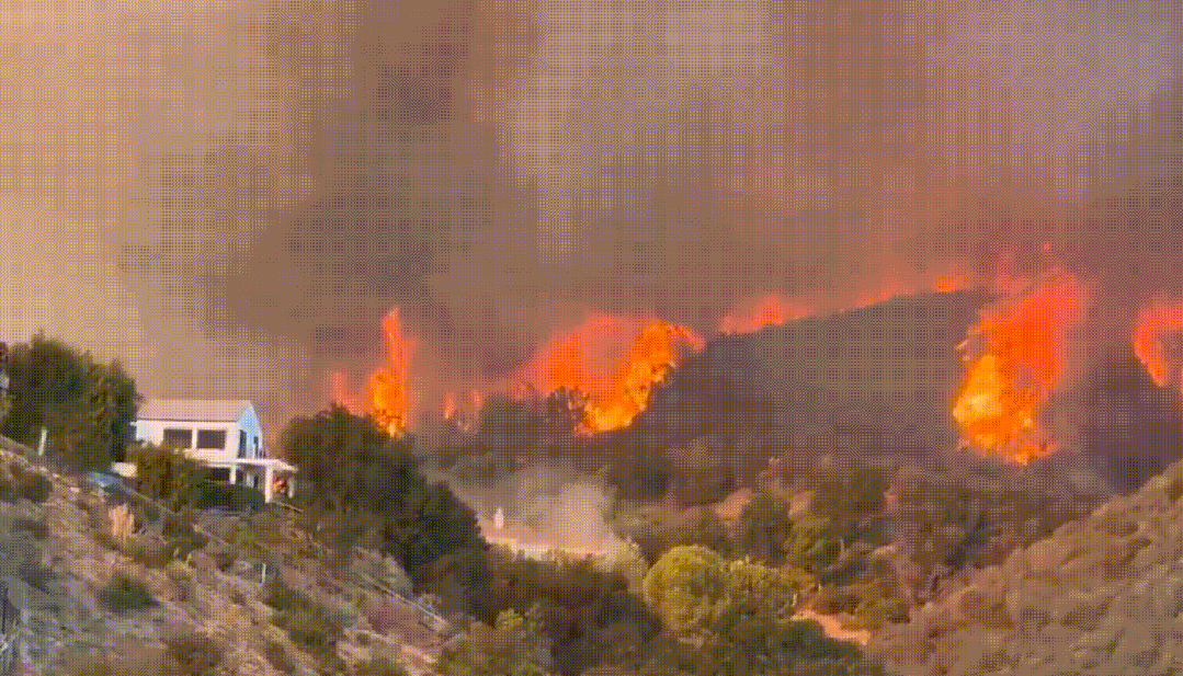 640-20250108-131627-677eeb2b5d08a 640-20250108-131627-677eeb2b5d08a