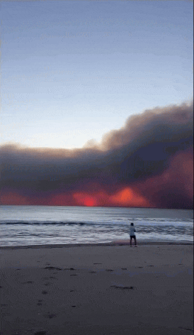 640-20250108-131627-677eeb2bb600b 640-20250108-131627-677eeb2bb600b