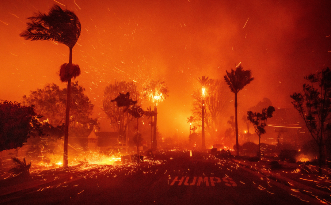 640-20250108-131629-677eeb2d27708 640-20250108-131629-677eeb2d27708