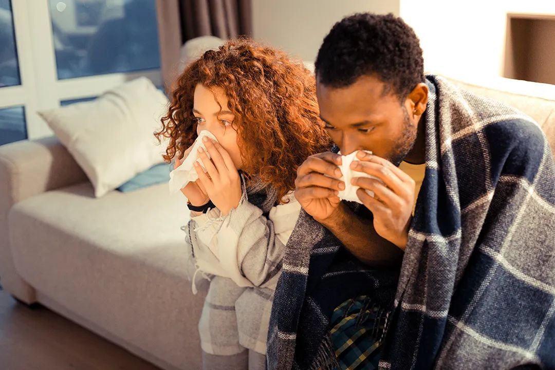 640-20250129-113102-679a81f65166e