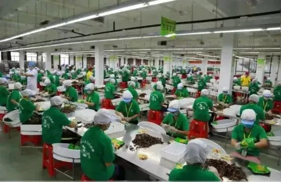 6896009626cd6-20250808-104531-689637bbd9659 6896009626cd6-20250808-104531-689637bbd9659