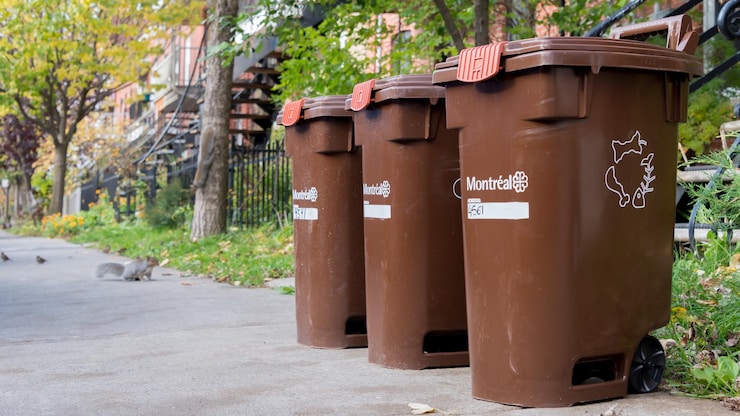 bacs-bruns-ville-de-montreal-compostage-20250923-083432-68d2be08ed157