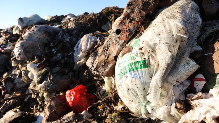 sacs-plastique-compostable-depotoir-enfouissement-20250923-083432-68d2be088bdd1