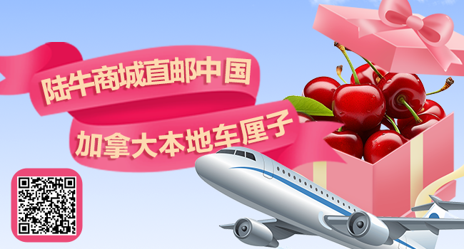 640-20251016-142605-68f162ed93e2c 640-20251016-142605-68f162ed93e2c