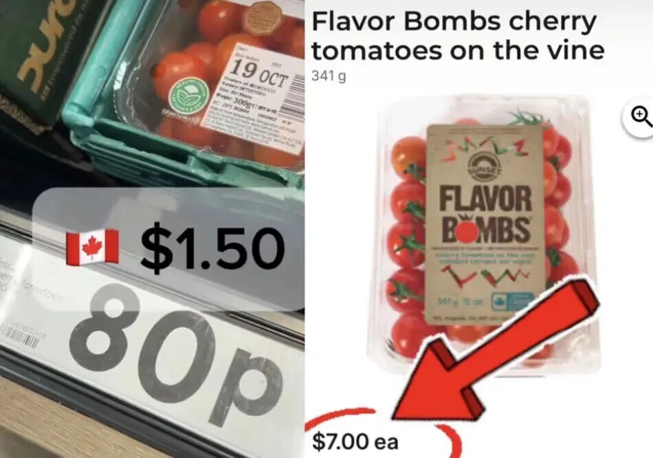 640-20251029-120038-69026456811a9 640-20251029-120038-69026456811a9