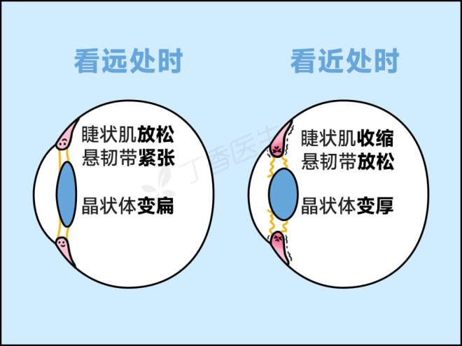 68f64683a20be-20251020-113226-68f6803a808ec