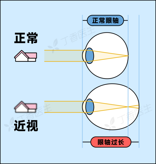 68f64683a8ade-20251020-113227-68f6803b103d8