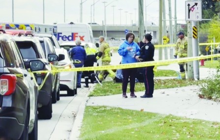 12NF03C-20251113-083459-691608b354731