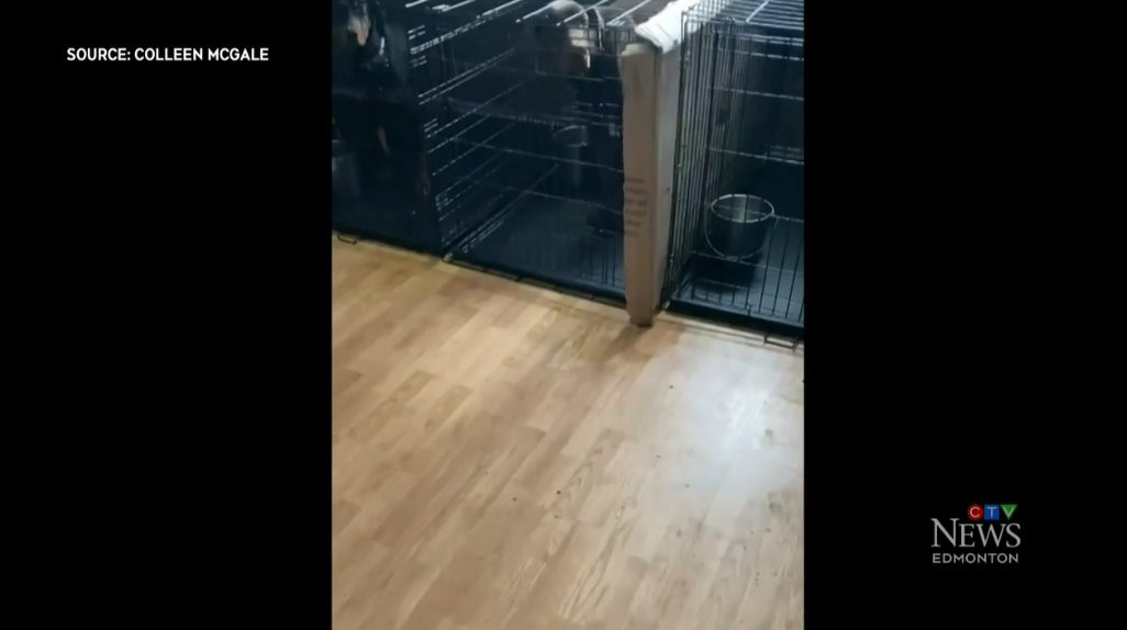 640-20251103-110546-6908fd0aee6ea