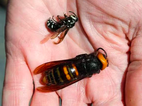 640-20251107-160146-690e886adc2a7