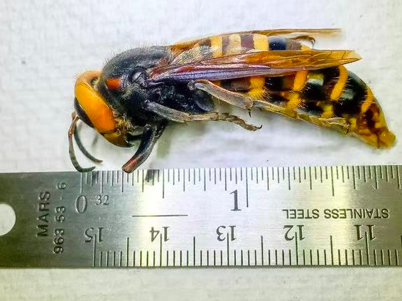 640-20251107-160147-690e886b04e44