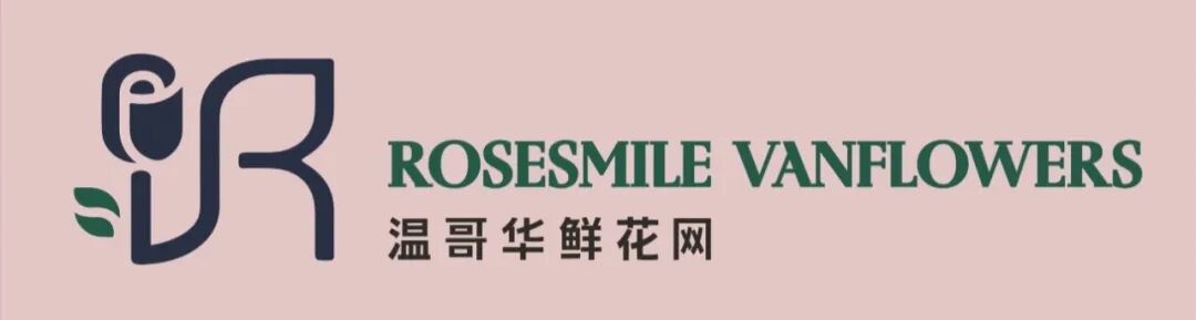 640-20251112-105718-6914d88e25cb9 640-20251112-105718-6914d88e25cb9