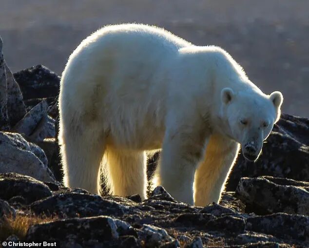 640-20251114-142041-6917ab39cea18