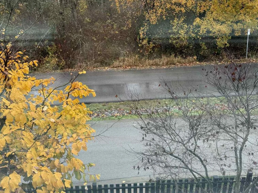 640-20251117-171959-691bc9bf68ba3 640-20251117-171959-691bc9bf68ba3