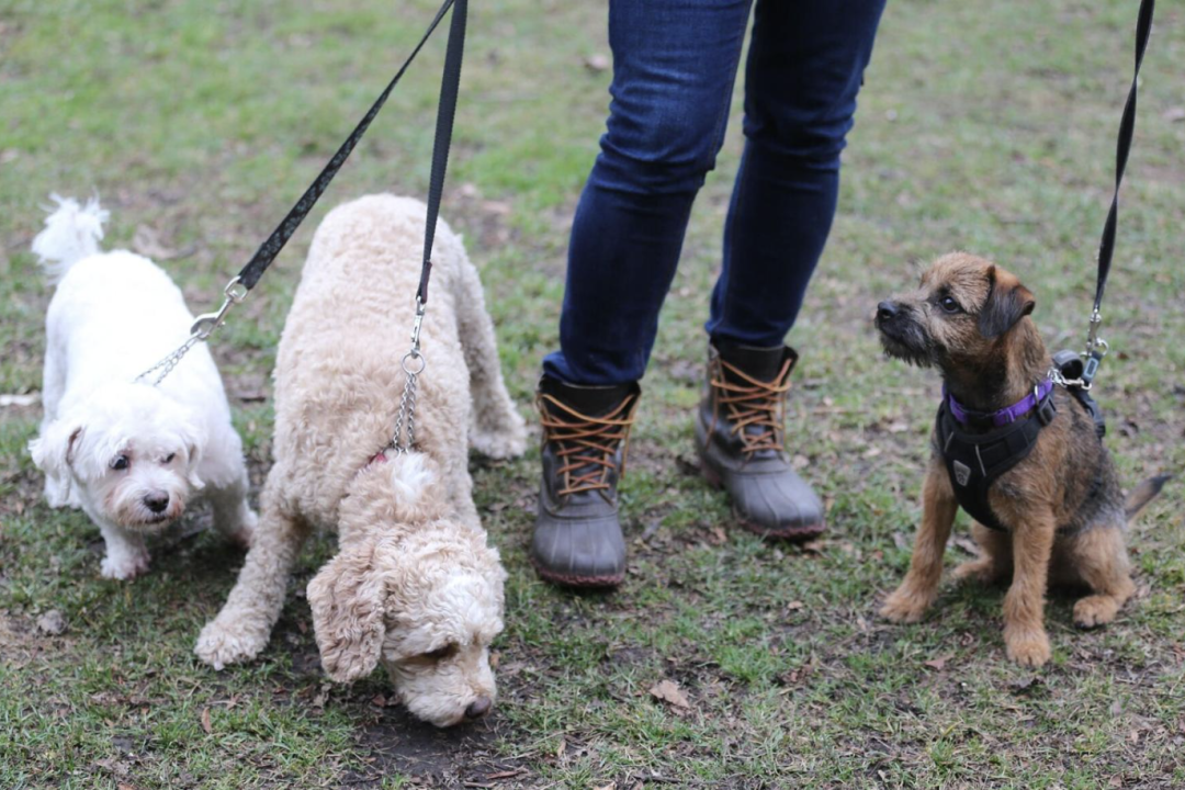 640-20251119-135158-691e3bfeee001