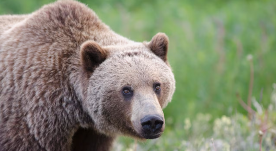 640-20251121-123741-6920cd951a36c