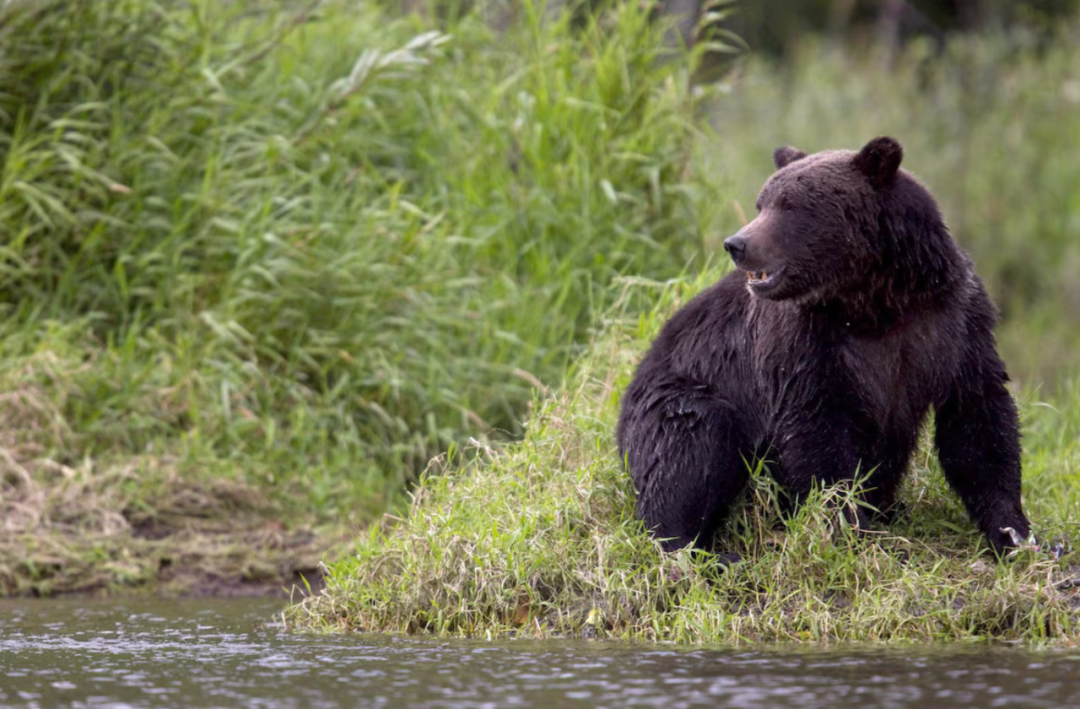 640-20251121-123741-6920cd9525f40