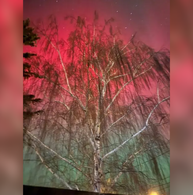 6914c87164403-20251112-104931-6914d6bb6bce8