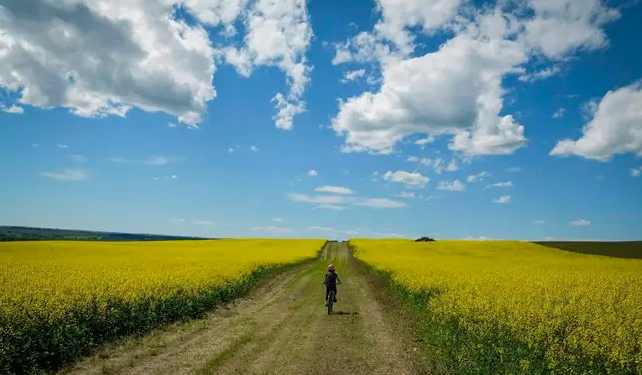 6914f2ad45777-20251113-091455-6916120f9432d