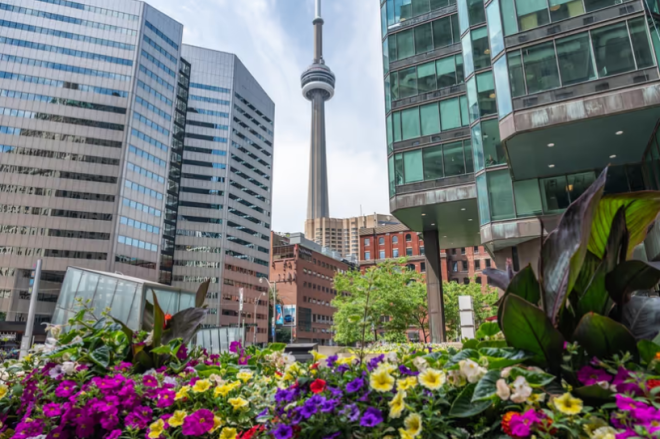 69188bc94b044-20251115-085422-6918b03ed047a 69188bc94b044-20251115-085422-6918b03ed047a