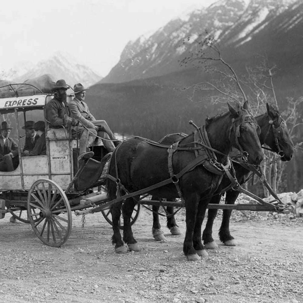 brewster-express-chario-cheval-banff-tourisme-20251126-092517-692737fdd94d2