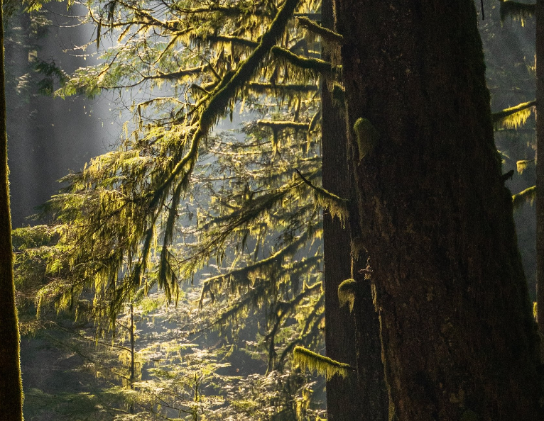 640-20251201-110143-692de61718cf5