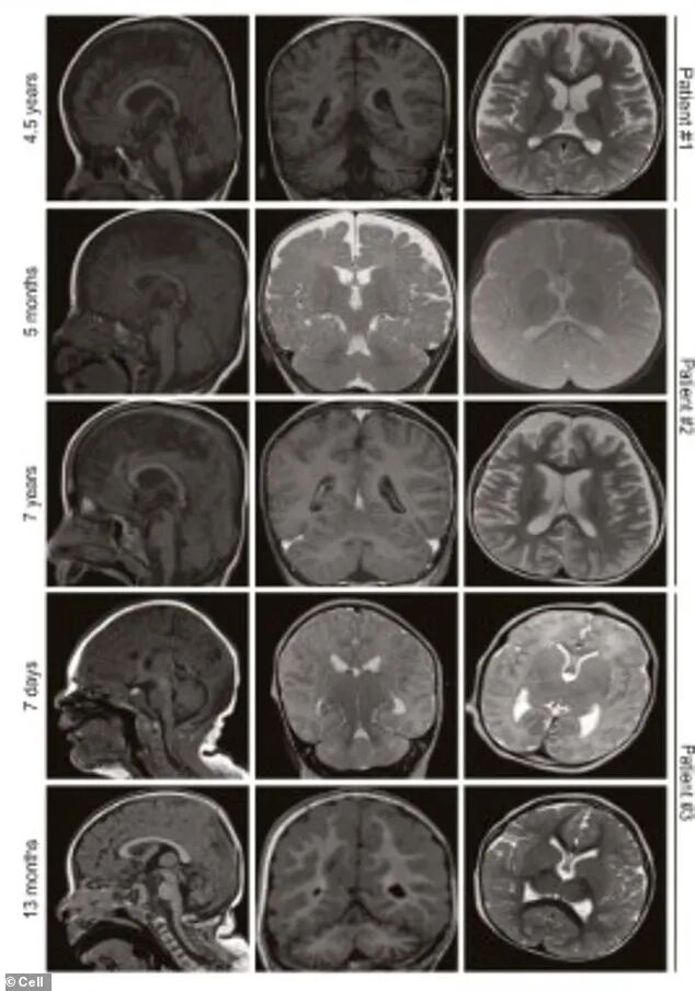 640-20251205-161229-693374edd4e9b