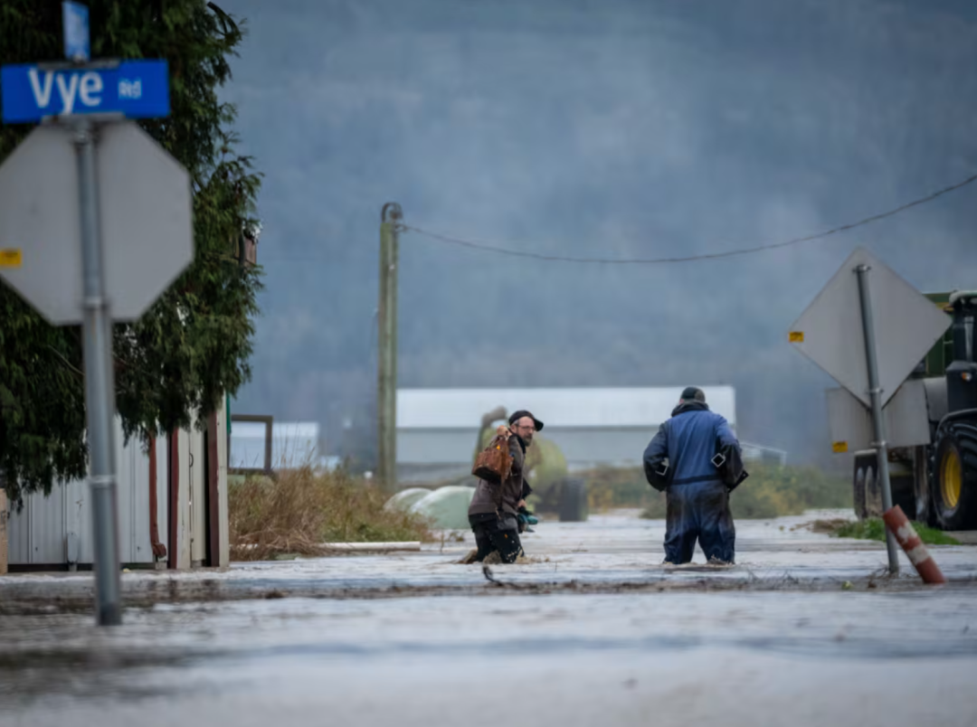 640-20251212-132137-693c87613d992 640-20251212-132137-693c87613d992