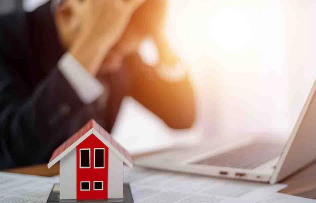 640-20251219-140524-6945cc24935ee 640-20251219-140524-6945cc24935ee