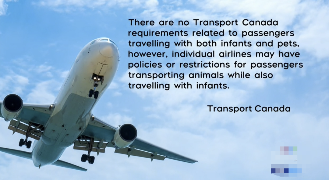 640-20251226-092844-694ec5cc4bb53 640-20251226-092844-694ec5cc4bb53