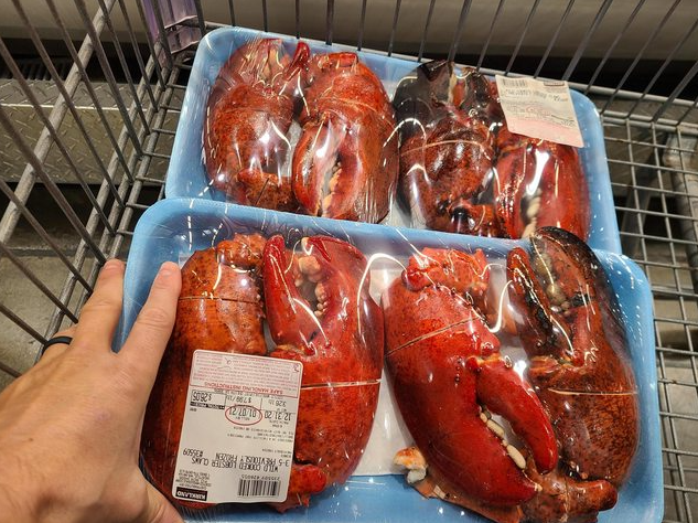 640-20251230-112448-69542700633a6