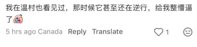 69480cc417cb6-20251221-093502-69482fc66df19