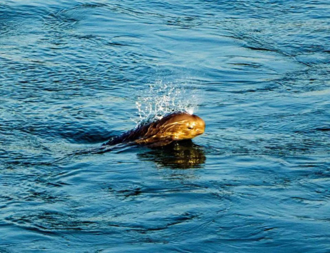 695538a317106-20251231-102731-69556b13be9f7