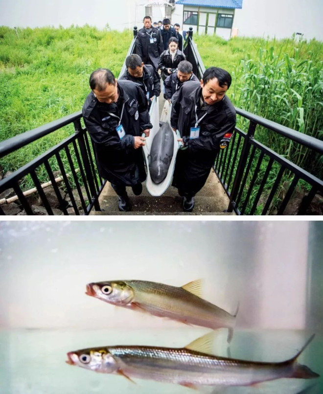 695538a371a20-20251231-102731-69556b13ea86a