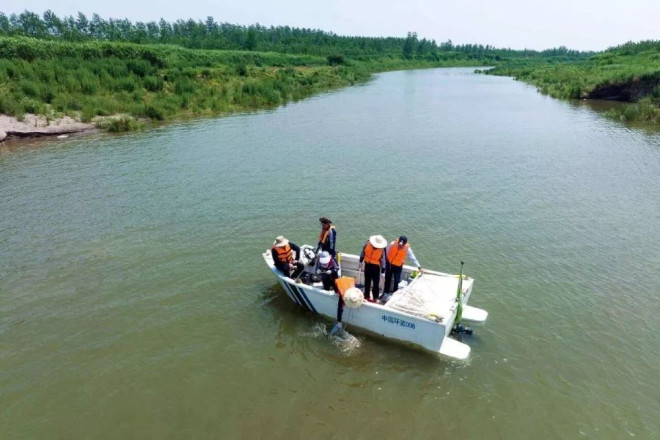 695538a4152b6-20251231-102733-69556b1598a95