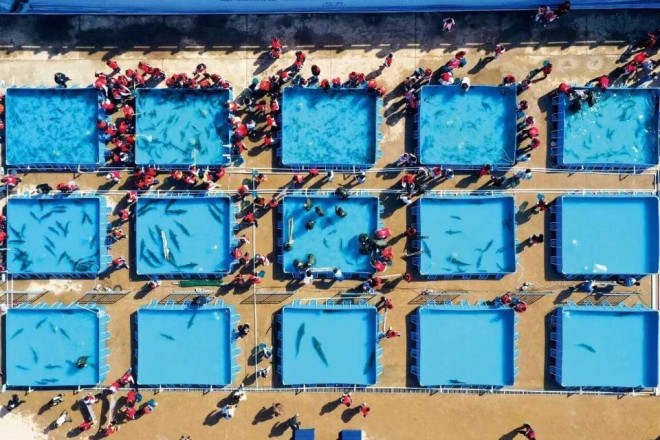 695538a4bb76a-20251231-102735-69556b17a5a9a